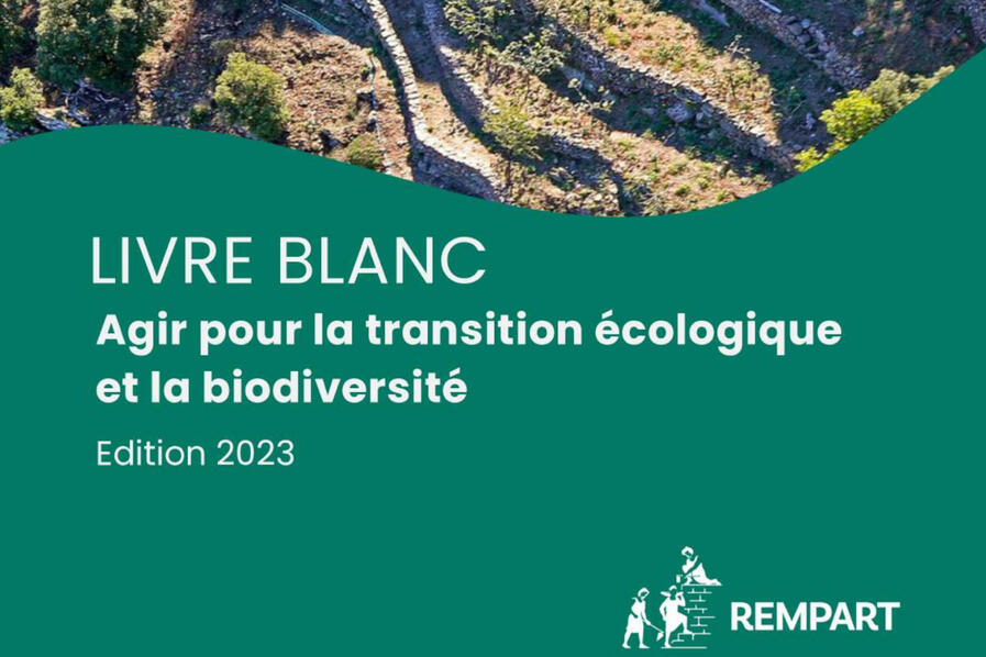 Livre blanc REMPART © REMPART