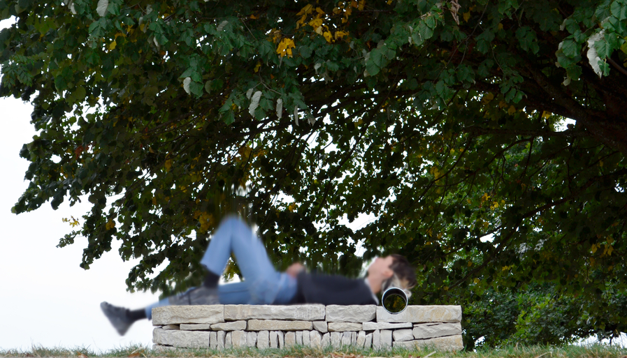 Méridienne pierre sèche © Arcade